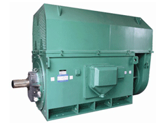 YKK8006-10Y系列6KV高压电机